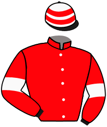 casaque portée par Sias Gio. jockey du cheval de course SANBER, information pmu ZETURF casaque portée par Sias Gio. jockey du cheval de course SANBER, information pmu ZETURF