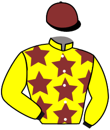 casaque portée par Millet G. jockey du cheval de course BEIJINHO, information pmu ZETURF casaque portée par Millet G. jockey du cheval de course BEIJINHO, information pmu ZETURF