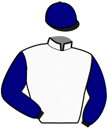 casaque portée par Delanoe F. jockey du cheval de course KENJY LUCAXELO, information pmu ZETURF casaque portée par Delanoe F. jockey du cheval de course KENJY LUCAXELO, information pmu ZETURF