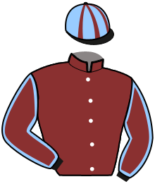 casaque portée par Maillard Jus. jockey du cheval de course JANSSEN DU CLOS, information pmu ZETURF casaque portée par Maillard Jus. jockey du cheval de course JANSSEN DU CLOS, information pmu ZETURF