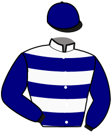 casaque portée par Lherete A. jockey du cheval de course LOGO MAJYC, information pmu ZETURF casaque portée par Lherete A. jockey du cheval de course LOGO MAJYC, information pmu ZETURF