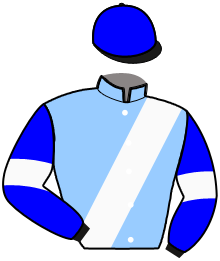 casaque portée par Le Bec J. E. jockey du cheval de course MELLY STAR, information pmu ZETURF casaque portée par Le Bec J. E. jockey du cheval de course MELLY STAR, information pmu ZETURF