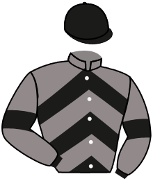 casaque portée par Brunelli Mlle M. jockey du cheval de course MAMA IMELDA, information pmu ZETURF casaque portée par Brunelli Mlle M. jockey du cheval de course MAMA IMELDA, information pmu ZETURF