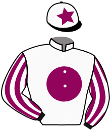 casaque portée par Limayrac Mr T. jockey du cheval de course JERRY ELMY, information pmu ZETURF casaque portée par Limayrac Mr T. jockey du cheval de course JERRY ELMY, information pmu ZETURF