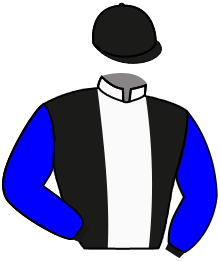 casaque portée par Boisseau L. jockey du cheval de course ESTONIA MOON, information pmu ZETURF casaque portée par Boisseau L. jockey du cheval de course ESTONIA MOON, information pmu ZETURF