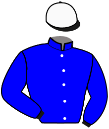 casaque portée par Nivard F. jockey du cheval de course BOCCADAMO, information pmu ZETURF casaque portée par Nivard F. jockey du cheval de course BOCCADAMO, information pmu ZETURF