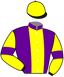 casaque portée par Lagadeuc F. jockey du cheval de course MADONE DU TRIEUX, information pmu ZETURF casaque portée par Lagadeuc F. jockey du cheval de course MADONE DU TRIEUX, information pmu ZETURF