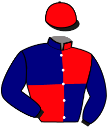 casaque portée par Serpin S. jockey du cheval de course KASSEL BERG, information pmu ZETURF casaque portée par Serpin S. jockey du cheval de course KASSEL BERG, information pmu ZETURF