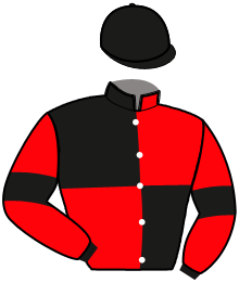 casaque portée par Lamy R. jockey du cheval de course KALISTO DU BOURDON, information pmu ZETURF casaque portée par Lamy R. jockey du cheval de course KALISTO DU BOURDON, information pmu ZETURF