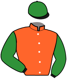 casaque portée par Megissier C. jockey du cheval de course JOSTA, information pmu ZETURF
