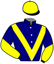 casaque portée par Guyon M. jockey du cheval de course AMARENA DODVILLE, information pmu ZETURF casaque portée par Guyon M. jockey du cheval de course AMARENA DODVILLE, information pmu ZETURF