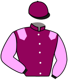 casaque portée par Non Partant jockey du cheval de course LOVE FOR LIFE, information pmu ZETURF casaque portée par Non Partant jockey du cheval de course LOVE FOR LIFE, information pmu ZETURF