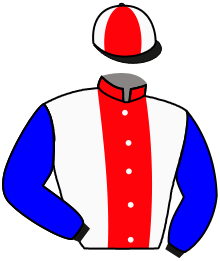 casaque portée par Grzybowski Kam. jockey du cheval de course MARCUS AURELIUS, information pmu ZETURF casaque portée par Grzybowski Kam. jockey du cheval de course MARCUS AURELIUS, information pmu ZETURF