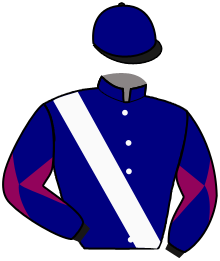 casaque portée par Claudic J. jockey du cheval de course LADIE SALSA, information pmu ZETURF casaque portée par Claudic J. jockey du cheval de course LADIE SALSA, information pmu ZETURF