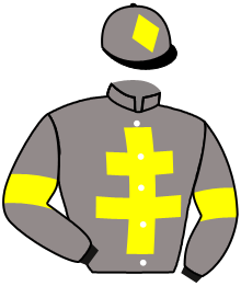 casaque portée par Marie Benj. jockey du cheval de course WALDLADY, information pmu ZETURF casaque portée par Marie Benj. jockey du cheval de course WALDLADY, information pmu ZETURF