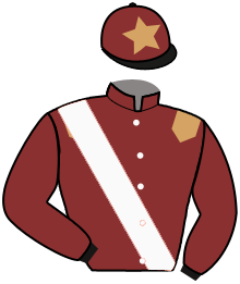 casaque portée par Alavez Mme R. jockey du cheval de course MAJESTICWELLS, information pmu ZETURF casaque portée par Alavez Mme R. jockey du cheval de course MAJESTICWELLS, information pmu ZETURF