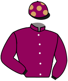 casaque portée par Alavez Mme R. jockey du cheval de course BAZOQUES, information pmu ZETURF