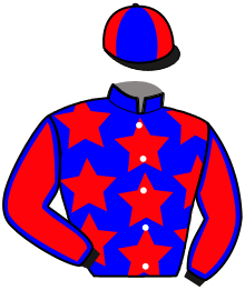casaque portée par Herrault M. jockey du cheval de course KIKEN GASHI, information pmu ZETURF casaque portée par Herrault M. jockey du cheval de course KIKEN GASHI, information pmu ZETURF