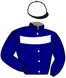 casaque portée par Mottier M. jockey du cheval de course UNDERGROUND ARTIST, information pmu ZETURF casaque portée par Mottier M. jockey du cheval de course UNDERGROUND ARTIST, information pmu ZETURF