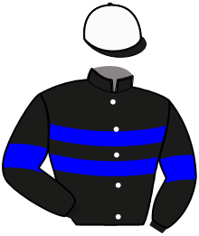casaque portée par Sorel J. Ch. jockey du cheval de course JUST SIXTY ONE, information pmu ZETURF