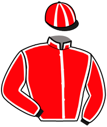 casaque portée par Placier O. jockey du cheval de course KRAKITO BELLO, information pmu ZETURF casaque portée par Placier O. jockey du cheval de course KRAKITO BELLO, information pmu ZETURF