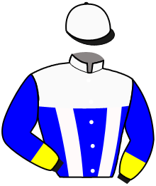 casaque portée par Walter Mme R. jockey du cheval de course JEOFFREY, information pmu ZETURF casaque portée par Walter Mme R. jockey du cheval de course JEOFFREY, information pmu ZETURF