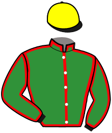 casaque portée par Martens C. jockey du cheval de course LOVELY DAY CEKE, information pmu ZETURF