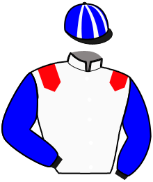 casaque portée par Crespel G. jockey du cheval de course LOLITA DU PORHOET, information pmu ZETURF