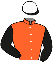 casaque portée par Debue R. jockey du cheval de course LINSEY ORANGE, information pmu ZETURF