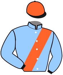casaque portée par Salmon Est. jockey du cheval de course IVANHOE PAULOIS, information pmu ZETURF casaque portée par Salmon Est. jockey du cheval de course IVANHOE PAULOIS, information pmu ZETURF
