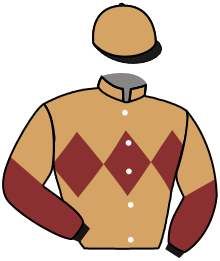 casaque portée par Boisseau L. jockey du cheval de course EARLY LIGHT, information pmu ZETURF casaque portée par Boisseau L. jockey du cheval de course EARLY LIGHT, information pmu ZETURF
