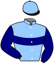 casaque portée par Abrivard M. jockey du cheval de course LOUISA D'ATOUT, information pmu ZETURF casaque portée par Abrivard M. jockey du cheval de course LOUISA D'ATOUT, information pmu ZETURF
