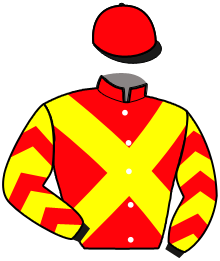 casaque portée par Clozier Eti. jockey du cheval de course IVRE DE JOIE, information pmu ZETURF