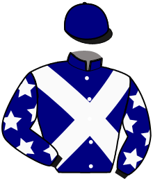 casaque portée par Gergouil Mat. jockey du cheval de course HOUKO SPORT, information pmu ZETURF