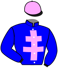 casaque portée par Abrivard J. E. jockey du cheval de course INDY DE SALSA, information pmu ZETURF