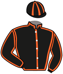 casaque portée par Charriaud S. jockey du cheval de course GENERAL INTRIGANT, information pmu ZETURF