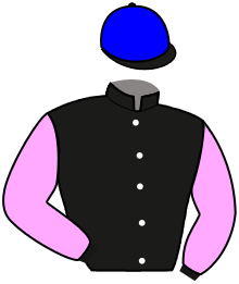 casaque portée par Seigne Léo jockey du cheval de course IRISH GOLD, information pmu ZETURF