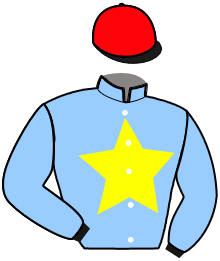 casaque portée par Gout L. jockey du cheval de course MAMBO MOUROTAIS, information pmu ZETURF
