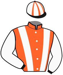 casaque portée par Gout L. jockey du cheval de course LAMTOTO, information pmu ZETURF