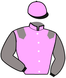 casaque portée par Hatier F. jockey du cheval de course JOLO LOVE, information pmu ZETURF