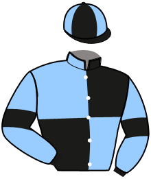 casaque portée par Roblot Y. jockey du cheval de course LUCKY BOY STAR, information pmu ZETURF