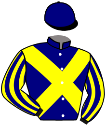casaque portée par Dory L. P. jockey du cheval de course JOBIJOBA DE VIETTE, information pmu ZETURF