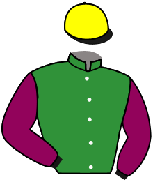 casaque portée par Chailloleau M. jockey du cheval de course CANTSBEE, information pmu ZETURF