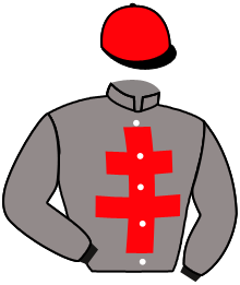 casaque portée par Chevillard T. jockey du cheval de course SPIDER BLACK, information pmu ZETURF