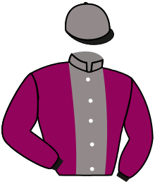 casaque portée par Mekouche Mlle A. jockey du cheval de course EVEREST DES CEDRES, information pmu ZETURF