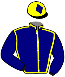 casaque portée par Foulon M. jockey du cheval de course SAUVAGE D'IBOS, information pmu ZETURF