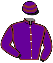 casaque portée par Gavilan Ale. jockey du cheval de course ASSWAN, information pmu ZETURF