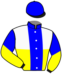 casaque portée par Lebourgeois Y. jockey du cheval de course YAHOO DIAMANT, information pmu ZETURF casaque portée par Lebourgeois Y. jockey du cheval de course YAHOO DIAMANT, information pmu ZETURF