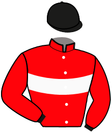casaque portée par Tugend F. jockey du cheval de course KENZO DE KERUZOC, information pmu ZETURF casaque portée par Tugend F. jockey du cheval de course KENZO DE KERUZOC, information pmu ZETURF