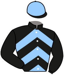 casaque portée par Fresneau Mlle K. jockey du cheval de course HULK D'ARNON, information pmu ZETURF casaque portée par Fresneau Mlle K. jockey du cheval de course HULK D'ARNON, information pmu ZETURF